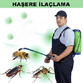 Dulkadiroğlu Böcek İlaçlama